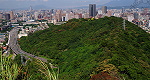 中埔山林道